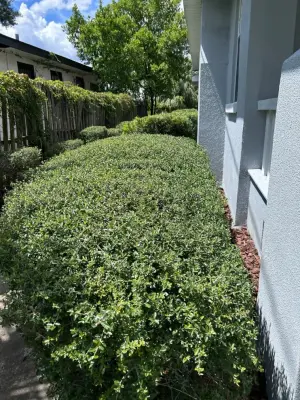 Paraclete Landscape LLC - Patio Design & Installation in Lakeland, FL