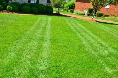 R&D Lawn Care and Landscaping - Custom Home Builders in Grove, OK