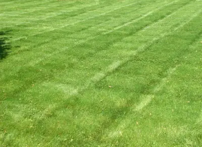 Grass Aeration — Landscape Construction project by R&D Lawn Care And Landscaping