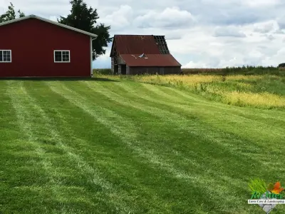Richter Lawn Care and Landscaping - Tree & Shrub Care in Sullivan, IL
