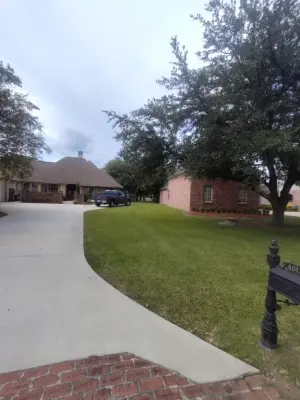Cangelosi Lawns LLC - Tree & Shrub Care in Prairieville, LA