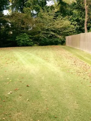 Reliable Lawncare - Tree & Shrub Care in Madison County, TN