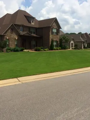 Reliable Lawncare - Tree & Shrub Care in Madison County, TN