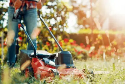 T&F Landscaping LLC - Tree & Shrub Care in Branson, MO