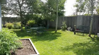 Greener Wyoming - Tree & Shrub Care in Cheyenne, WY