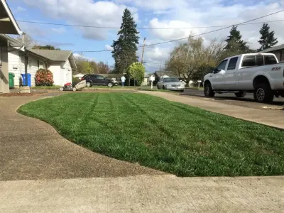 Hammer Landscape Maintenance - Tree & Shrub Care in Eugene, OR