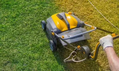 T&F Landscaping LLC - Tree & Shrub Care in Branson, MO