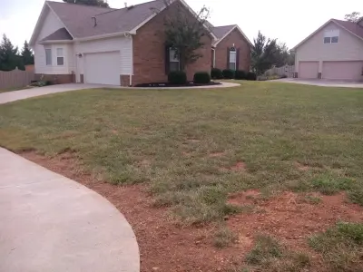 West Farragut Lawn Revival — Landscape Construction project by Bullington Land Management Corp.