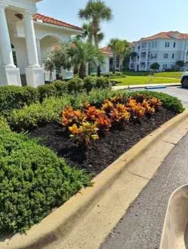 Lawnmasters of Panama City - Tree & Shrub Care in Panama City, FL