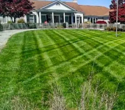GreenScapes VA, Ltd - Tree & Shrub Care in Roanoke, VA