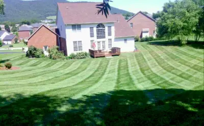 GreenScapes VA, Ltd - Tree & Shrub Care in Roanoke, VA