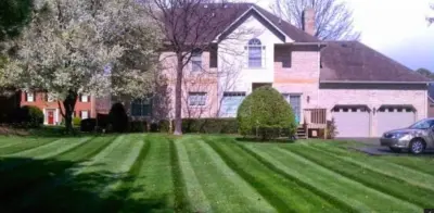 GreenScapes VA, Ltd - Tree & Shrub Care in Roanoke, VA