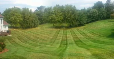 GreenScapes VA, Ltd - Tree & Shrub Care in Roanoke, VA