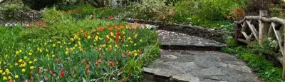 Lone Star Home & Garden - Landscape Construction in Hereford, TX