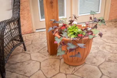 Lubbock Graceful Outdoor Space and Garden — Landscape Construction project by Bravo Xteriors