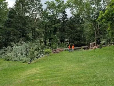 Lundy's Landscape Services - Tree & Shrub Care in Chilhowie, VA