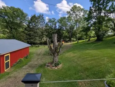 Lundy's Landscape Services - Tree & Shrub Care in Chilhowie, VA