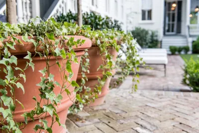 Simple Elegance — Landscape Design project by Carolina Landscape, Inc.