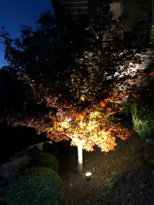 Luxury Landscape Lights - Landscape Design in Vanderbilt, PA