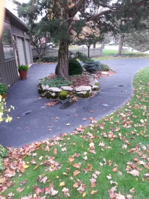 Curb Appeal of CNY,LLC - Tree & Shrub Care in Syracuse, NY