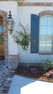 Holly Mary Nell — Landscape Construction project by Lollys Gardening