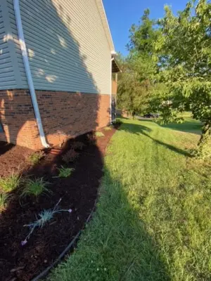 McDaniel's Landscaping - Tree & Shrub Care in Elizabethton, TN