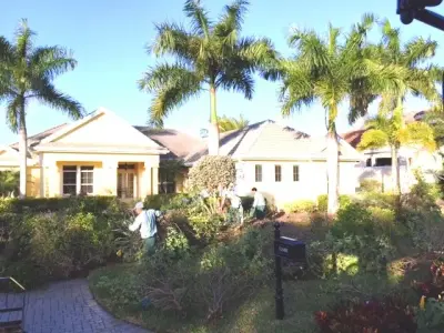 McDougall Setup — Landscape Construction project by Photoscape Landscape And Design