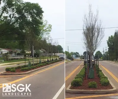 SGK Landscapes - Tree Planting & Transplanting in Starkville, MS
