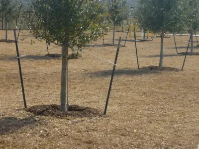 Healthcare Facility — Landscape Construction project by A.D. I. Landscaping And Tree Services