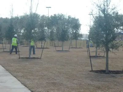 A.D. I. Landscaping and Tree Services - Tree & Shrub Care in Houston, TX