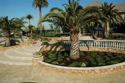 Mediterranean Marvel — Landscape Construction project by Plant Systems Landscape
