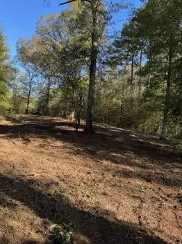 MEEN Mallard Land Management LLC - Tree & Shrub Care in Flora, MS