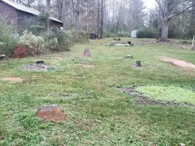 MEEN Mallard Land Management LLC - Tree & Shrub Care in Flora, MS