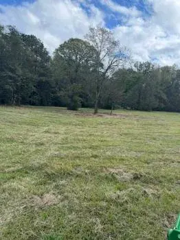 MEEN Mallard Land Management LLC - Tree & Shrub Care in Flora, MS