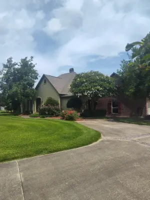 Cangelosi Lawns LLC - Tree & Shrub Care in Prairieville, LA