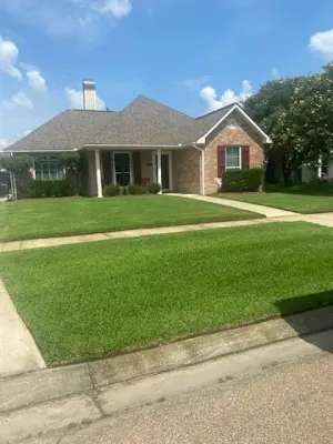 Lawn Care Solutions — Landscape Construction project by Cangelosi Lawns LLC