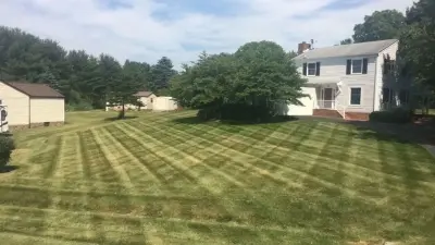 Back to Nature Landscaping & Wildlife Restoration - Design-Build Services in Blacksburg, VA