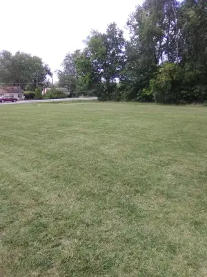 S and H Landscaping - Tree & Shrub Care in Fort Wayne, IN