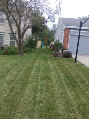 S and H Landscaping - Tree & Shrub Care in Fort Wayne, IN