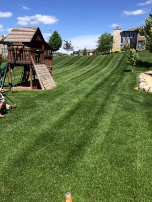 Evan's Almighty Lawn Care LLC - Tree & Shrub Care in Waukee, IA