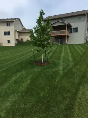 Evan's Almighty Lawn Care LLC - Tree & Shrub Care in Waukee, IA