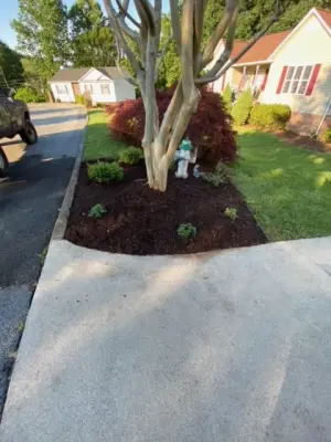 Soil Covering and Tree Seeding — Landscape Construction project by McDaniel's Landscaping