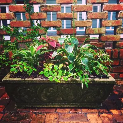 Green Natured Landscapes & Maintenance - Tree & Shrub Care in Wilmington, NC