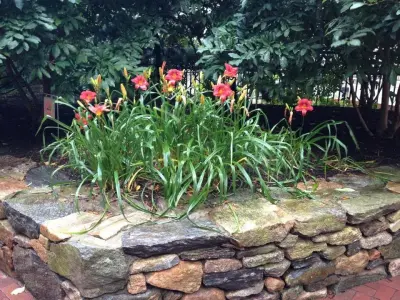 Green Natured Landscapes & Maintenance - Tree & Shrub Care in Wilmington, NC