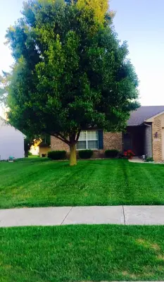 Kevin's Lawn Care Service - Tree & Shrub Care in Fort Wayne, IN