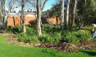 Redwood Coast Landscape Maintenance - Landscape Construction in Crescent City, CA