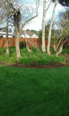 Redwood Coast Landscape Maintenance - Landscape Construction in Crescent City, CA