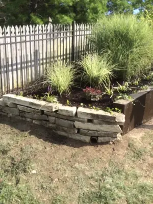 Cut Above the Rest - Tree & Shrub Care in Fort Wayne, IN