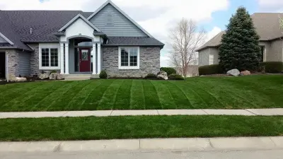 Cut Above the Rest - Tree & Shrub Care in Fort Wayne, IN