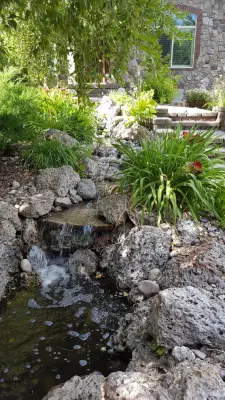 Aquatic Elements — Landscape Construction project by Expressions Of Nature Inc.